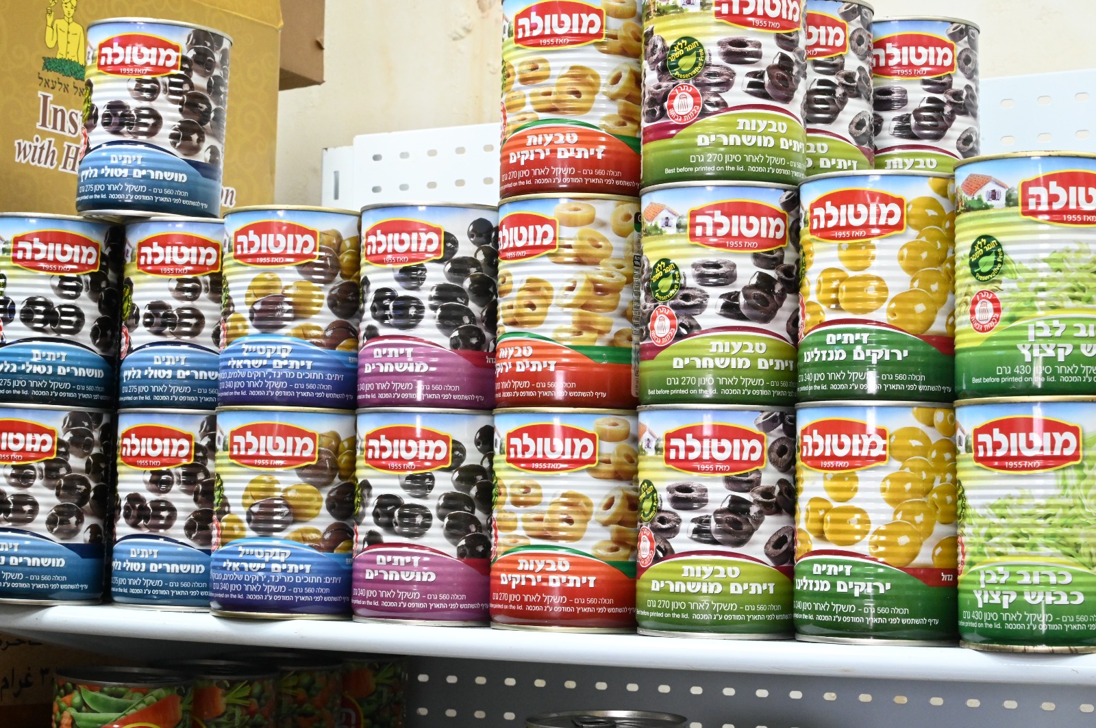 WhatsApp Image 2023-03-02 at 6.00.40 PM.jpeg